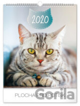 Nástěnný kalendář Cats 2020