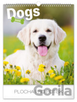 Nástěnný kalendář Dogs 2020
