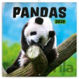 Poznámkový kalendář / kalendár Pandas 2020