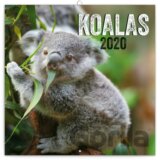 Poznámkový kalendář / kalendár Koalas 2020