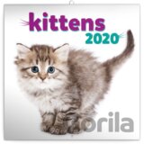 Poznámkový kalendář / kalendár Kittens 2020