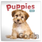 Poznámkový kalendář / kalendár Puppies 2020