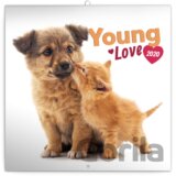 Poznámkový kalendář / kalendár  Young Love 2020