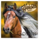 Poznámkový kalendář / kalendár Horses 2020