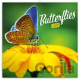 Poznámkový kalendář / kalendár Butterflies 2020