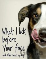 What I Lick Before Your Face