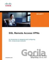 SSL Remote Access VPNs