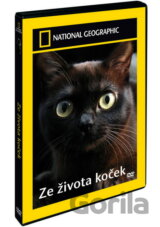 Ze života koček (National Geographic)