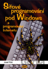 Síťové programování pod Windows a programování Internetu