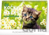 Stolní kalendář Kočky – Stolový kalendár Mačky 2020