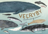 Veľryby: ilustrovaný sprievodca