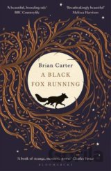 A Black Fox Running