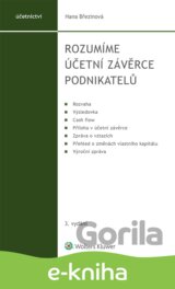 Rozumíme účetní závěrce podnikatelů - 3. vydání