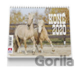 Koně - stolní kalendář 2020
