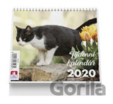 Kočka - stolní kalendář mini 2020