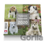 Pes - stolní kalendář mini 2020
