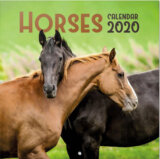 Kalendář 2020 16 měsíců: Koně
