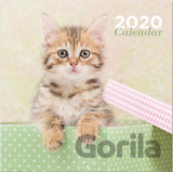 Kalendář 2020 16 měsíců: Kočky/Koťata