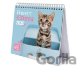 Stolní kalendář 2020: Kočky