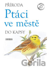 Ptáci ve městě