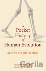 A Pocket History of Human Evolution