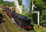 All Aboard!