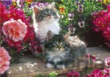 Kittens in the Garden