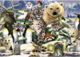 Animals in the Snow