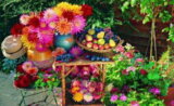 Autumn Fruits