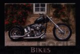 Bikes 2010