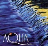 Aqua 2010