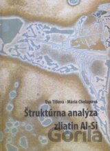 Štruktúra analýza zliatin Al-Si