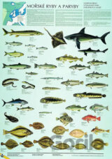 Plakát - Mořské ryby a paryby