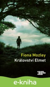 Království Elmet