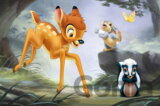 A Forest Dispute