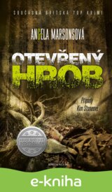 Případy Kim Stoneové 4: Otevřený hrob