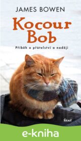 Kocour Bob