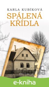 Spálená křídla