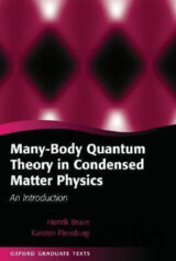 Many-Body Quantum Theory in Condensed Matter Physics