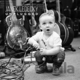 Janek Ledecký: Unplugged LP
