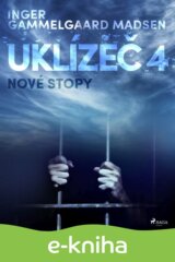 Uklízeč 4: Nové stopy