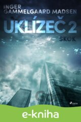 Uklízeč 2: Skok