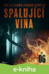 Spalující vina - Díl 6