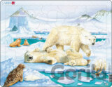 Animals - ľadové medvede FH5