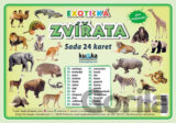 Exotická zvířata - Sada 24 karet