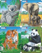 Koala, slon, tiger, panda (V4)