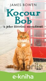 Kocour Bob a jeho životní moudrost