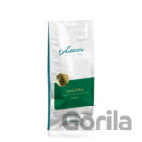 Verticcio Sumatra Kerinci