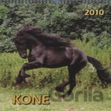 Kone 2010