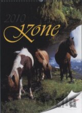 Kone 2010